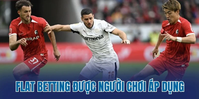 Mô hình Flat betting được nhiều người chơi áp dụng