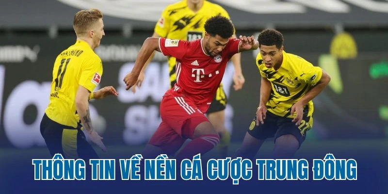 Thông tin về nền cá cược Trung Đông